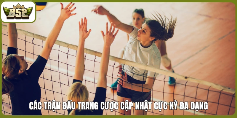 Các trận đấu trang cược cập nhật cực kỳ đa dạng